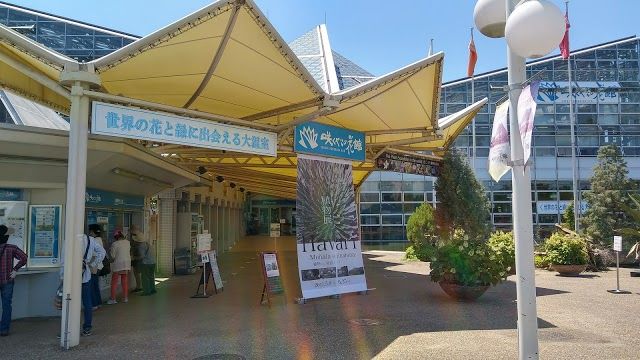Tsurumi Ryokuchi Swimming Pool